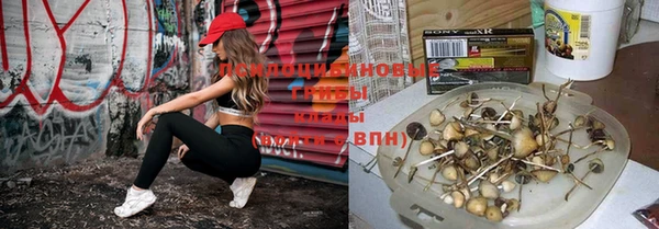 герыч Алексин