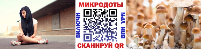 мега ссылка  сайты даркнета наркотические препараты  Бирюсинск  Галлюциногенные грибы MAGIC MUSHROOMS  дарнет шоп 